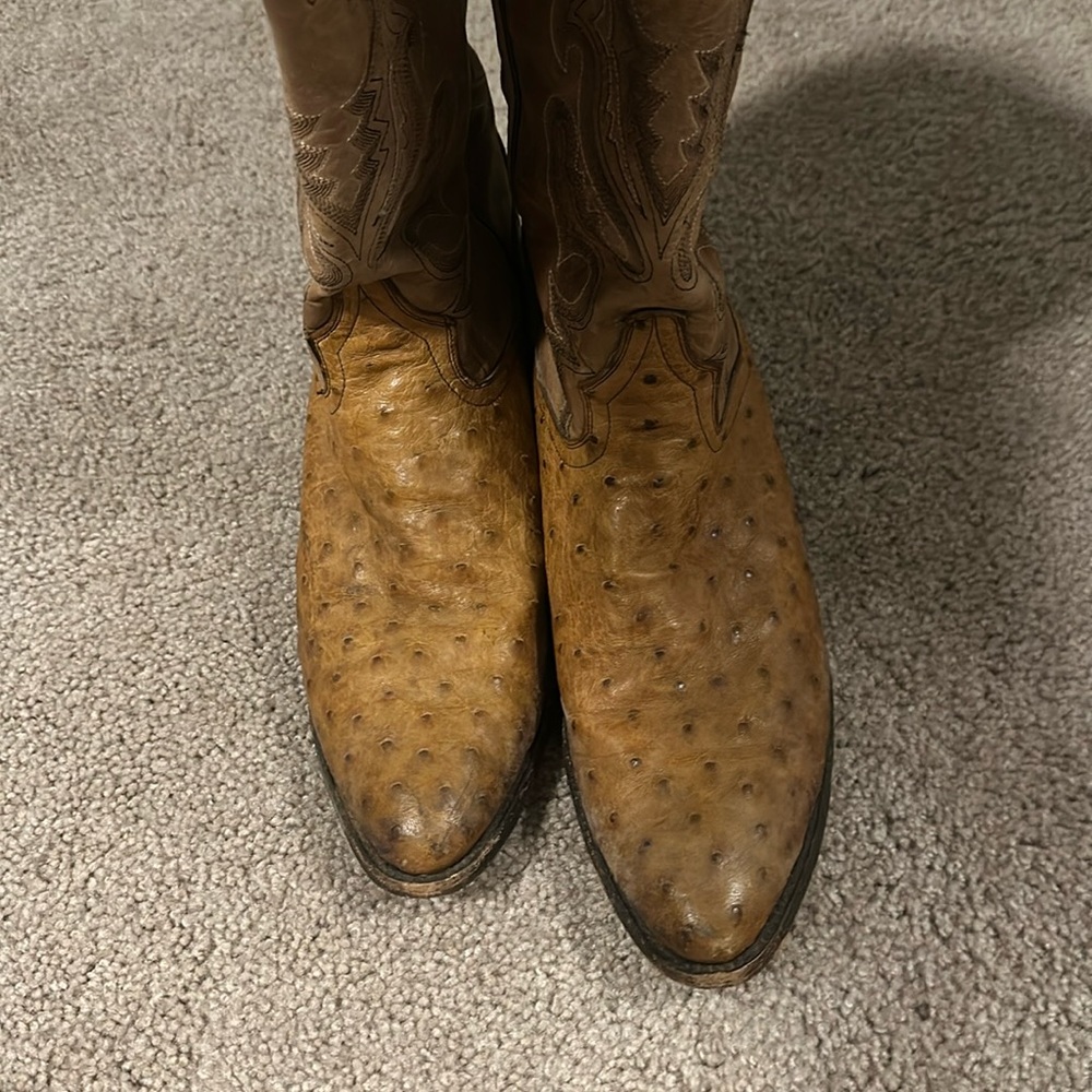 Dan Post Ostrich Exotic Boots